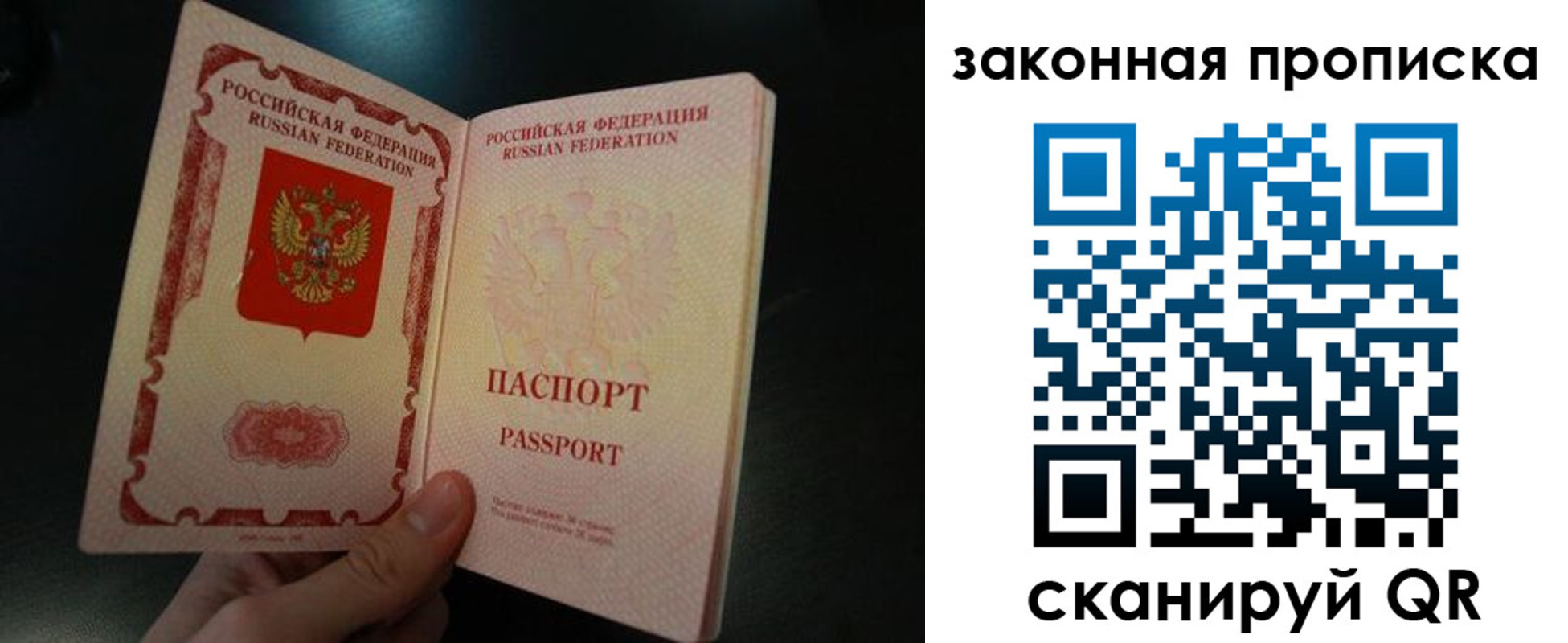 прописка поиск в Апатитах